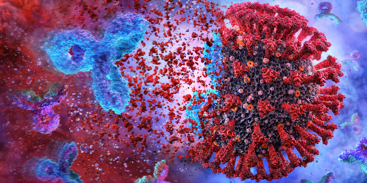 Antibody cocktail promises instant immunity against covid