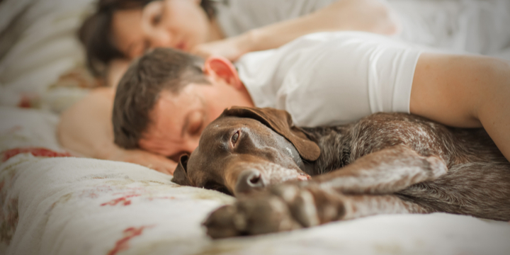 Sleeping with your pet, is it a good idea?