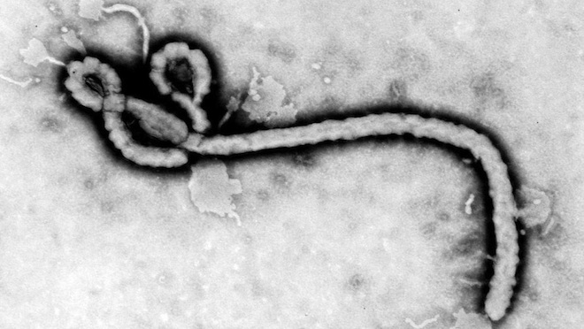 a case of Ebola spotted in Abidjan, WHO is concerned