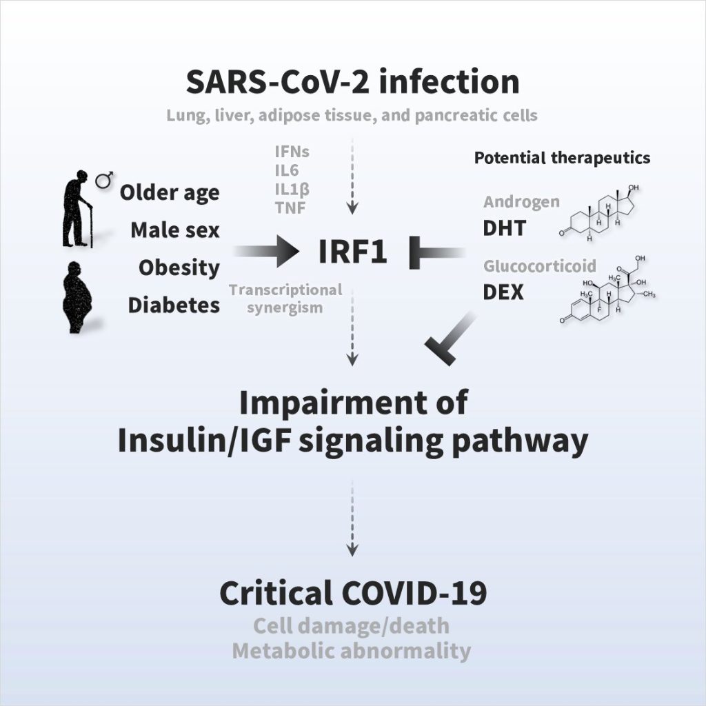 The amazing link between SARS-CoV-2 infection and newly started diabetes